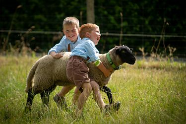 Kinder mit Schaf