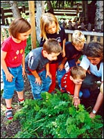 Kinder im Gemüsegarten