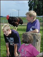 Landerlebnisse für Kinder