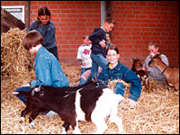 Kinder mit Ziegen im Stall