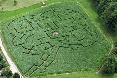 Maislabyrinth Schiefelbusch