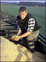 Landwirt auf einem Anhänger mit Getreide