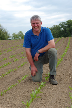 Landwirt auf einem Rübenfeld