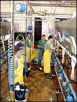 Melkstand