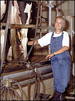 Landwirtin im Melkstand