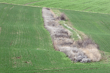 Erosionsschutzstreifen