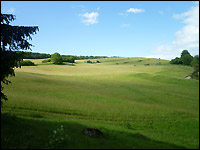 Extensiv genutztes Grünland in der Eifel