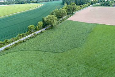 Grünland-Staffelmahd