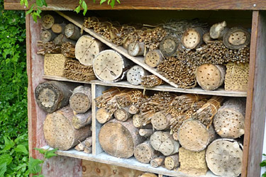 Insektenhotel