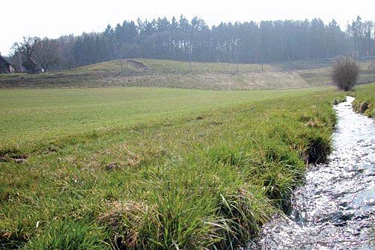 Pufferstreifen am Bach