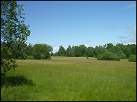 Sistig-Krekeler Heide