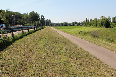 Intensiv gepflegtes Straßenbegleitgrün