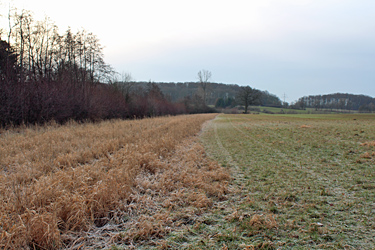 Uferrandstreifen Staffelmahd