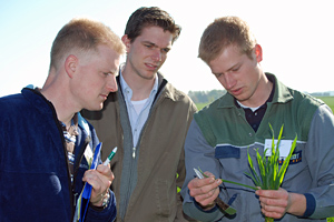 Agrarreferendar oder Trainee bei der Landwirtschaftskammer