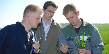 Agrarreferendar oder Trainee bei der Landwirtschaftskammer