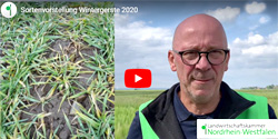 Video Wintergerste