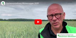 Video Winterroggen
