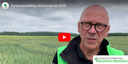 Video Wintertriticale