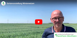 Video Winterweizen