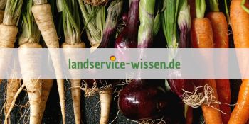 Wissensportal Landservicewissen