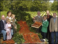Erdbeersaison 2008