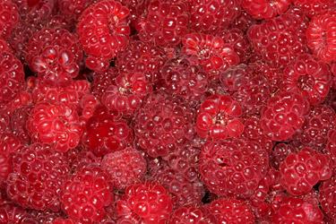 Himbeeren