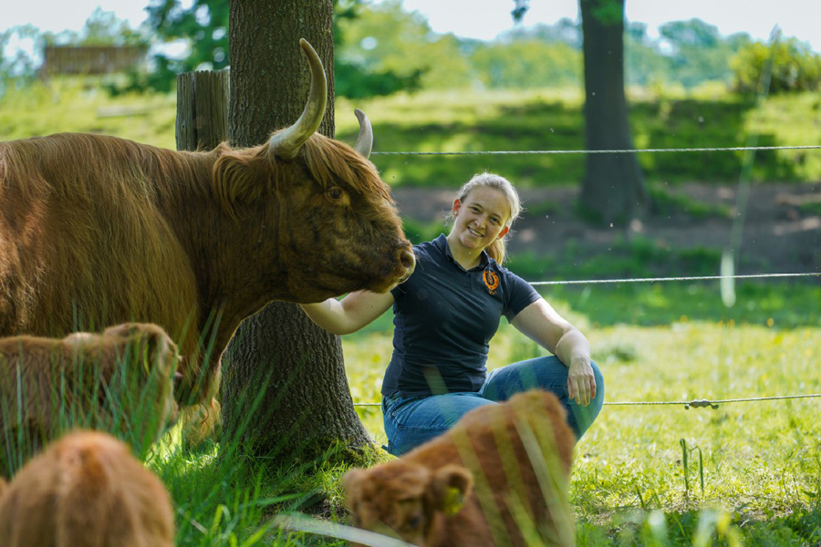 Gewinnerfoto Wettbewerb 2026