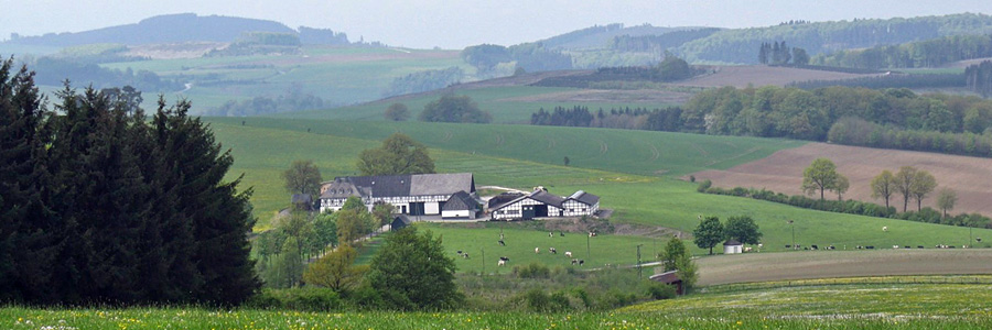 Landschaft im Hochsauerlandkreis