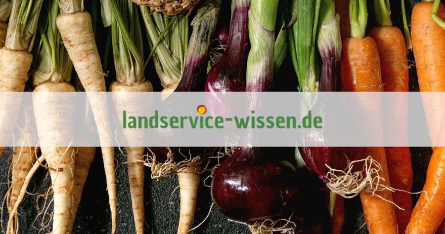 Wissensportal Landservicewissen