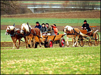 Ausfahrt mit Kutschen