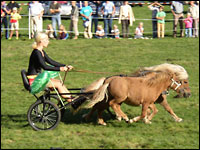 Ponyrennen auf Haus Düsse