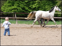 Kind auf dem Reitplatz