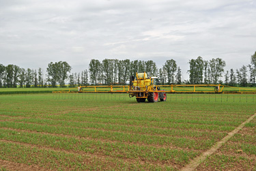 Fendt 309 beim Pflanzenschutz