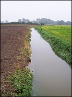 Pflanzenschutzanwendung Bachlauf