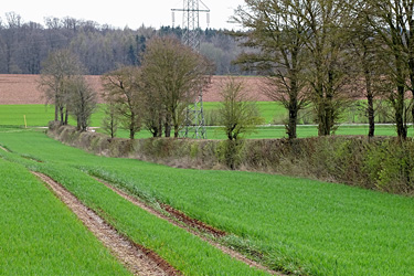 Saumstruktur am Feld