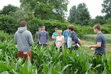 Wolbecker Studierende im Maisfeld