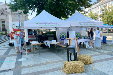 Infostand in Bielefeld