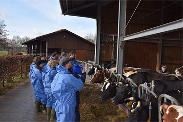 Klasse mit Dr. Janowitz in Aktion