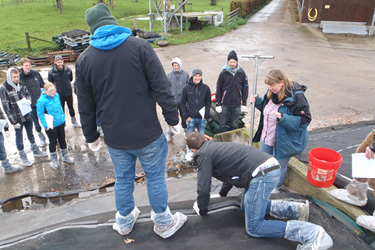 Ökoschüler Silageprobe