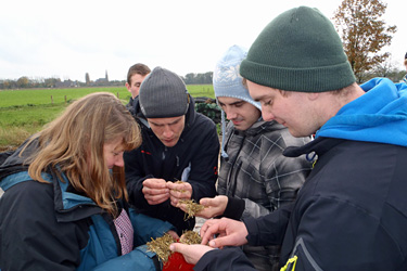 Ökoschüler Silageprobe