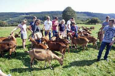 Ökoschule auf Klassenfahrt in Süddeutschland