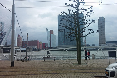 Hafen in Rotterdam