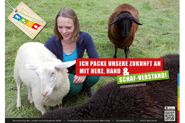 Plakat 03 Schaf-Verstand - Fachschule für Agrarwirtschaft Meschede