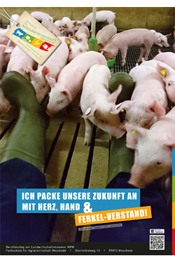 Plakat 05 Ferkel-Verstand - Fachschule für Agrarwirtschaft Meschede