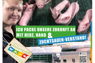 Plakat 16 Zuchtsauen-Verstand - Fachschule für Agrarwirtschaft Meschede