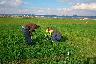 Intensive Bestandskontrolle durch das Team - Wie groß ist der Zuwachs.