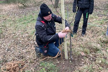Obstbaumschnitt Fachschule Wolbeck 2026
