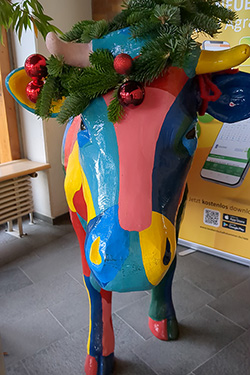 Weihnachten Wolbeck 2