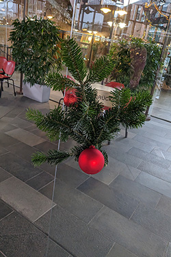 Weihnachten Wolbeck 7