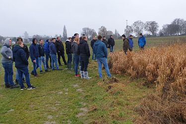 Biodiversität in Theorie und Praxis